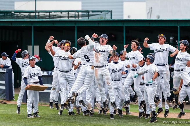 Falcons celebrate after the home run by Isaiah Rios (9)