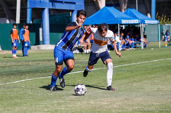 Ernesto Vergara played a solid game on both ends of the field for the Falcons