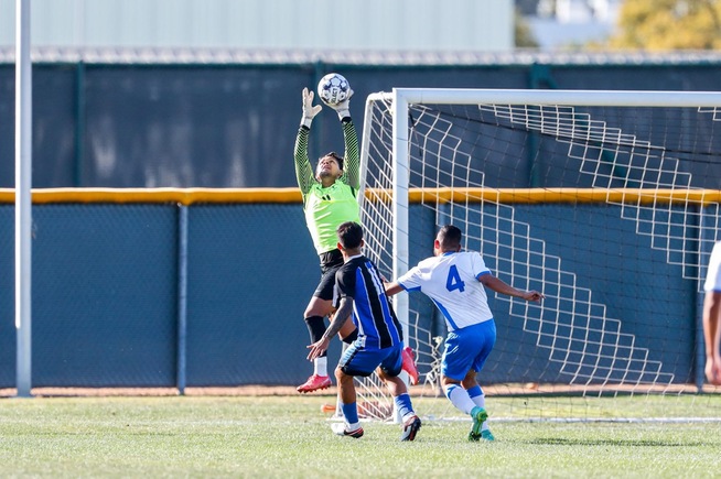 Alex Ledesma made six saves to lead the Falcons over Oxnard