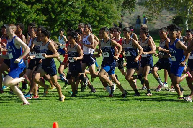 On Friday, the men's cross country team placed fifth